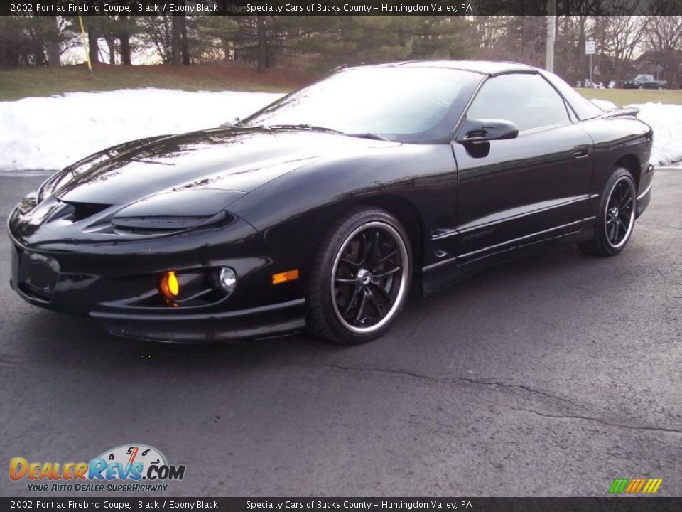 2002 Pontiac Firebird Coupe Black / Ebony Black Photo #8
