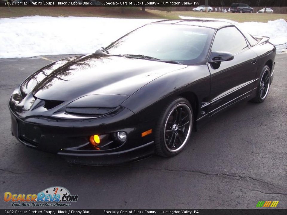2002 Pontiac Firebird Coupe Black / Ebony Black Photo #9