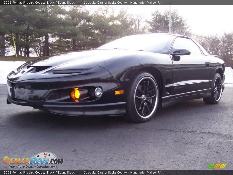 2002 Pontiac Firebird Coupe Black / Ebony Black Photo #10