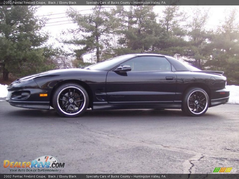 2002 Pontiac Firebird Coupe Black / Ebony Black Photo #11