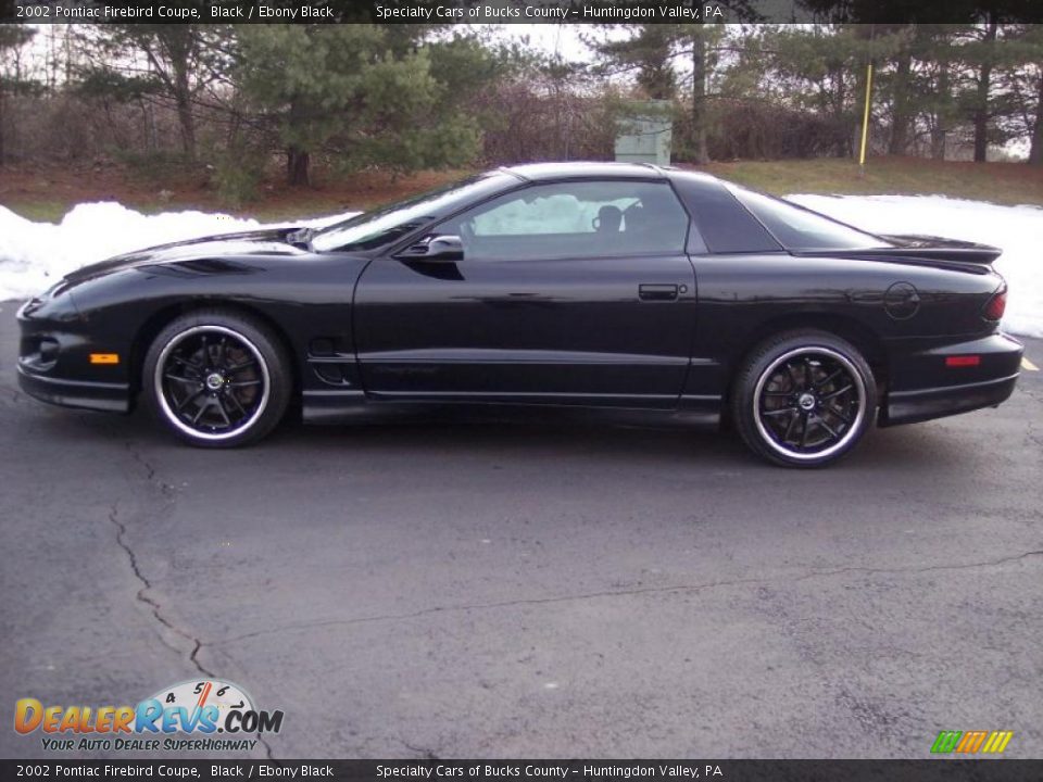 2002 Pontiac Firebird Coupe Black / Ebony Black Photo #12