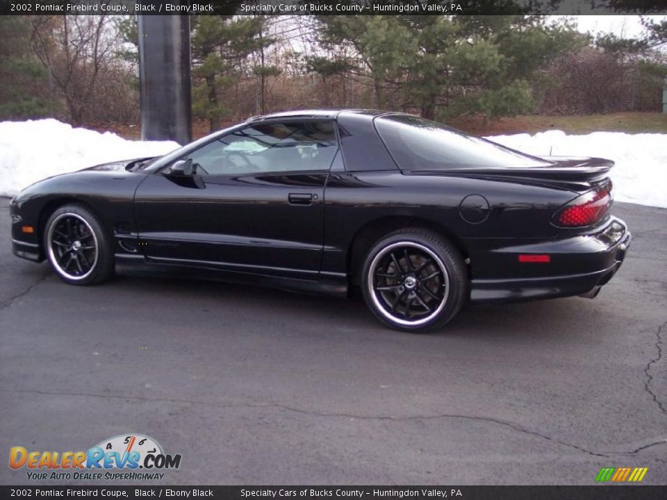 2002 Pontiac Firebird Coupe Black / Ebony Black Photo #13