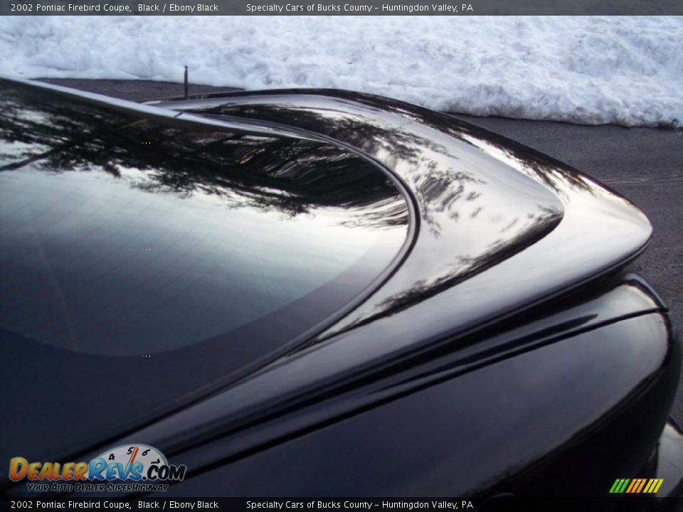 2002 Pontiac Firebird Coupe Black / Ebony Black Photo #17