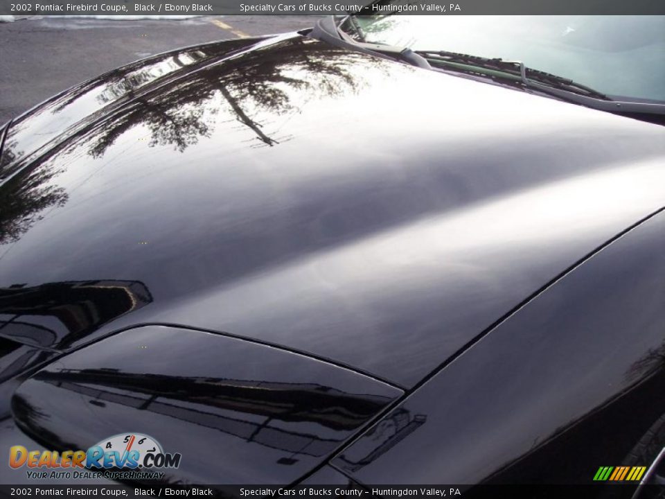2002 Pontiac Firebird Coupe Black / Ebony Black Photo #19