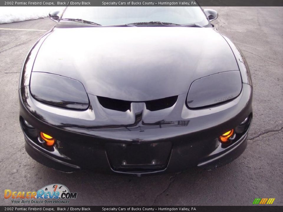 2002 Pontiac Firebird Coupe Black / Ebony Black Photo #20