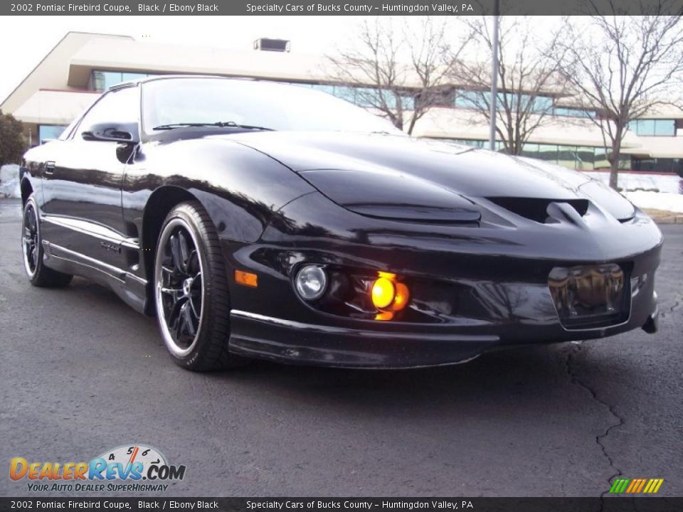 2002 Pontiac Firebird Coupe Black / Ebony Black Photo #21