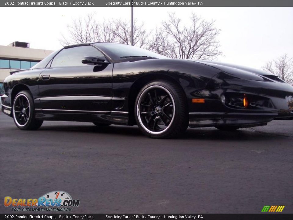 2002 Pontiac Firebird Coupe Black / Ebony Black Photo #22