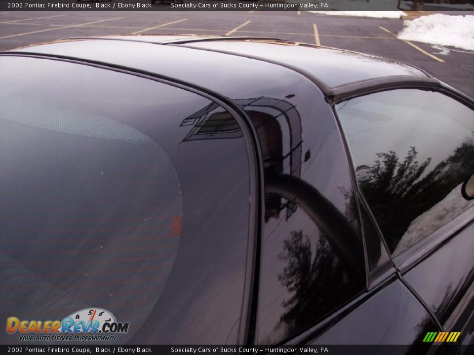 2002 Pontiac Firebird Coupe Black / Ebony Black Photo #23
