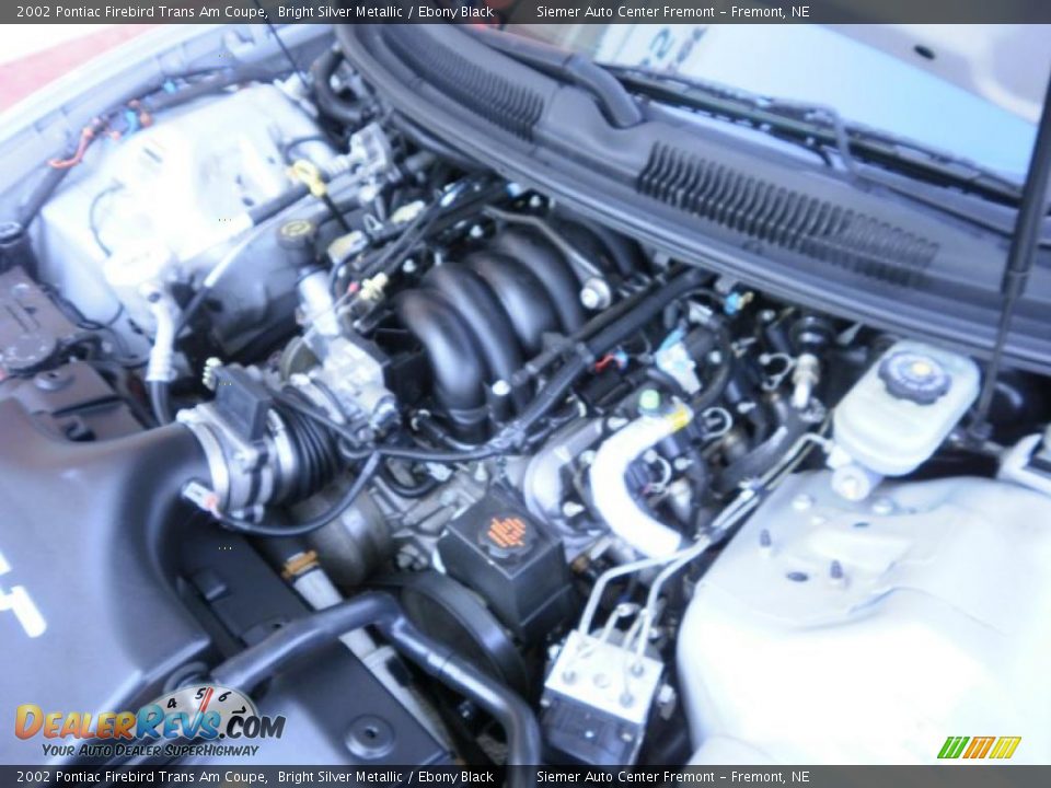 2002 Pontiac Firebird Trans Am Coupe Bright Silver Metallic / Ebony Black Photo #28