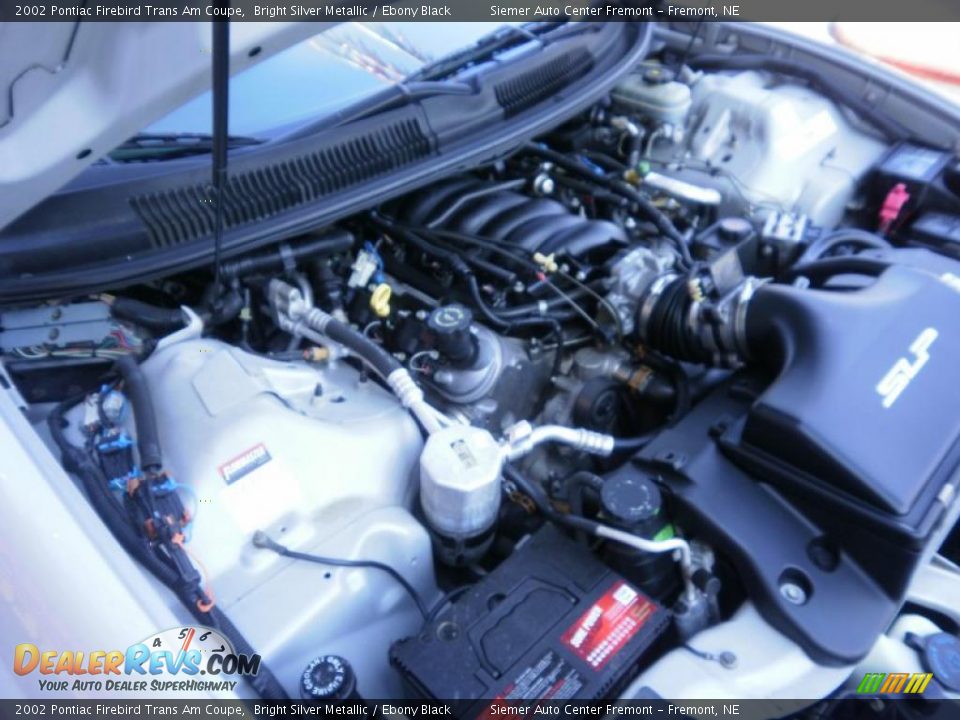 2002 Pontiac Firebird Trans Am Coupe Bright Silver Metallic / Ebony Black Photo #29