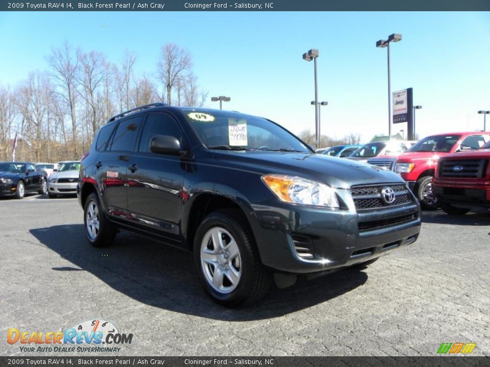 2009 toyota rav4 black forest pearl #5