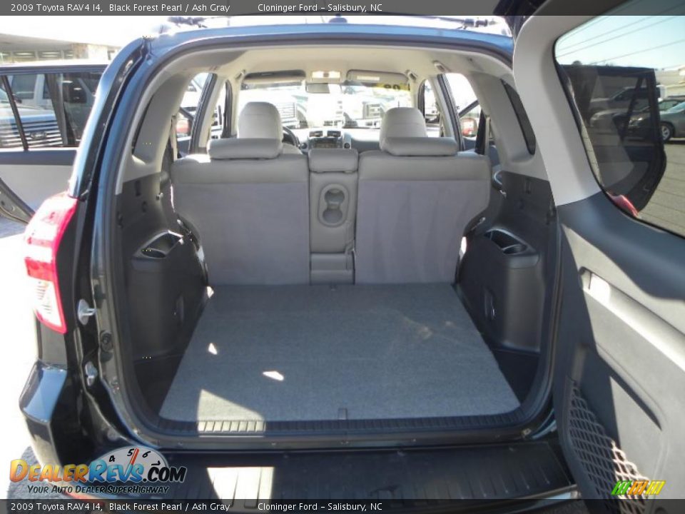 2009 Toyota RAV4 I4 Black Forest Pearl / Ash Gray Photo #10