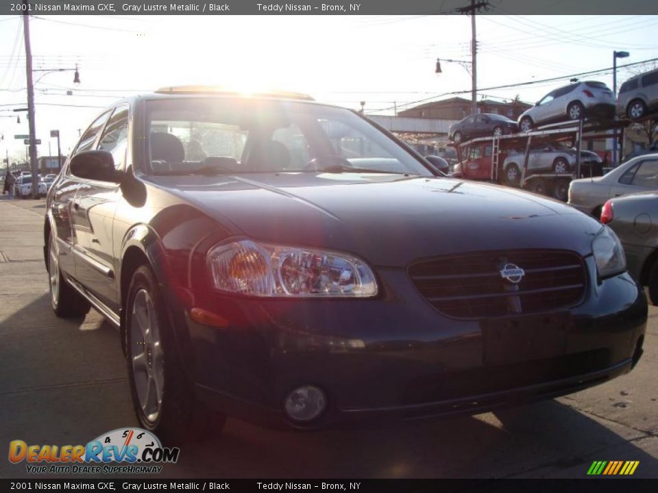 2001 Nissan Maxima GXE Gray Lustre Metallic / Black Photo #1