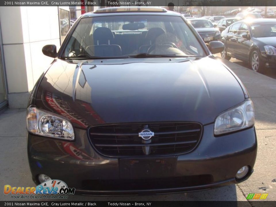 2001 Nissan Maxima GXE Gray Lustre Metallic / Black Photo #2