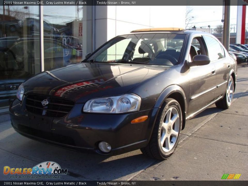 2001 Nissan Maxima GXE Gray Lustre Metallic / Black Photo #3