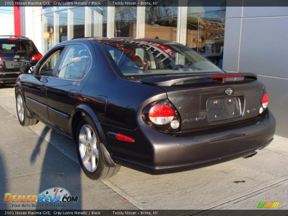 2001 Nissan Maxima GXE Gray Lustre Metallic / Black Photo #6