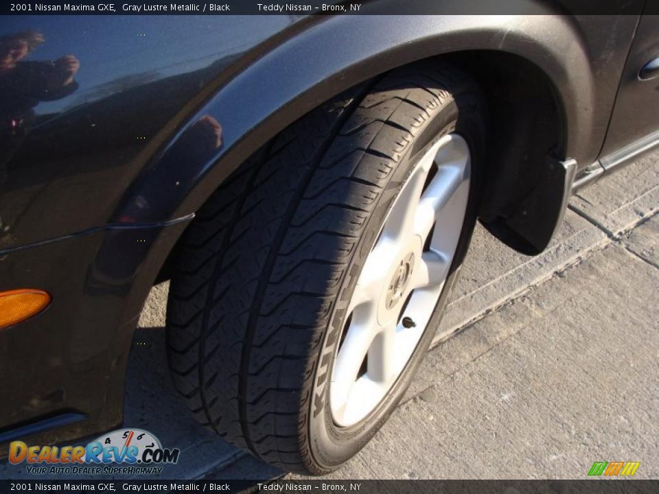 2001 Nissan Maxima GXE Gray Lustre Metallic / Black Photo #9