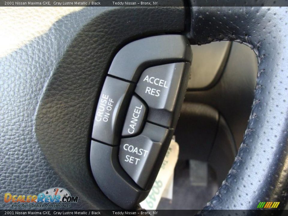 2001 Nissan Maxima GXE Gray Lustre Metallic / Black Photo #24