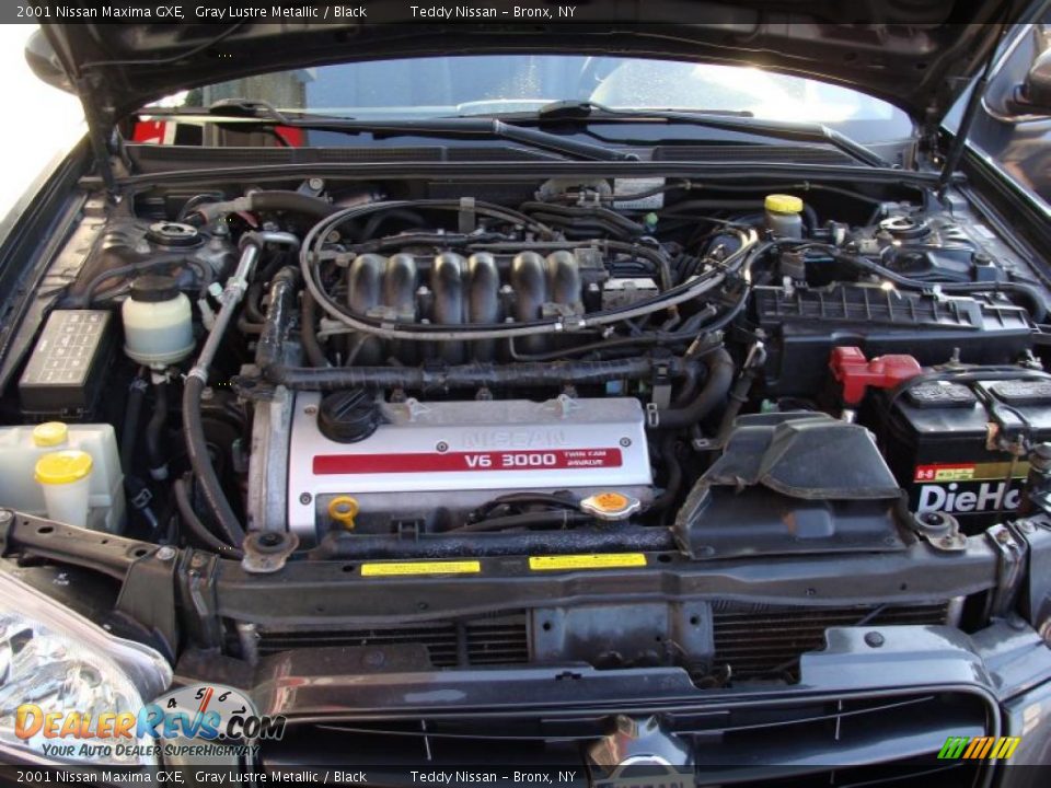 2001 Nissan Maxima GXE Gray Lustre Metallic / Black Photo #27
