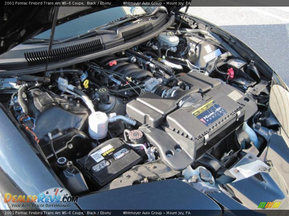 2001 Pontiac Firebird Trans Am WS-6 Coupe Black / Ebony Photo #15