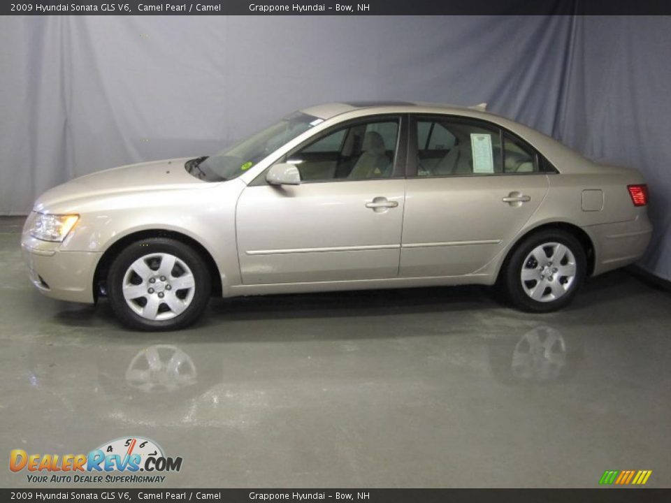 2009 Hyundai Sonata GLS V6 Camel Pearl / Camel Photo #2