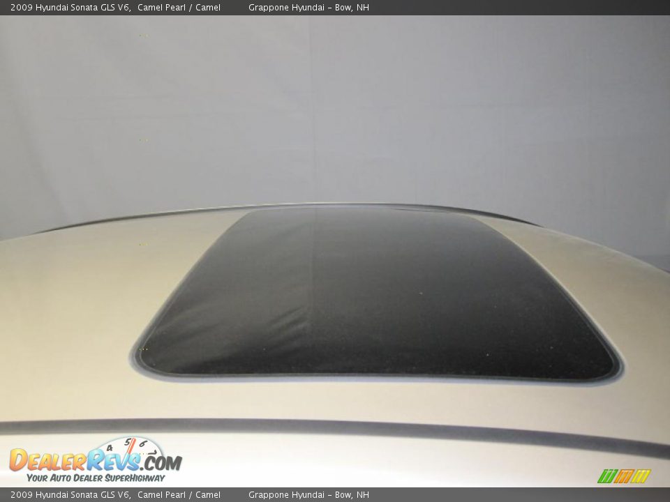2009 Hyundai Sonata GLS V6 Camel Pearl / Camel Photo #7