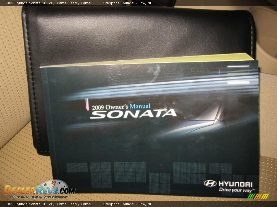 2009 Hyundai Sonata GLS V6 Camel Pearl / Camel Photo #8