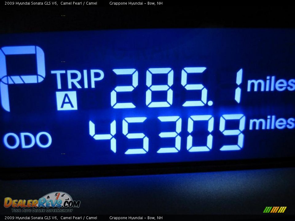 2009 Hyundai Sonata GLS V6 Camel Pearl / Camel Photo #12