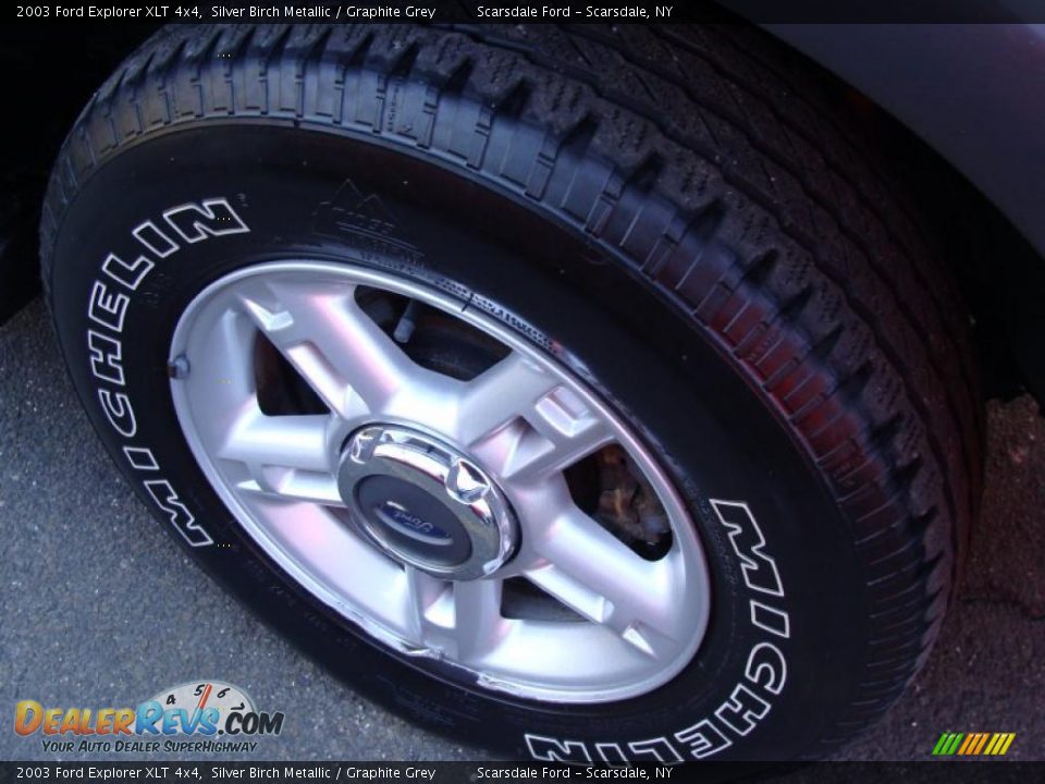 2003 Ford Explorer XLT 4x4 Silver Birch Metallic / Graphite Grey Photo #6