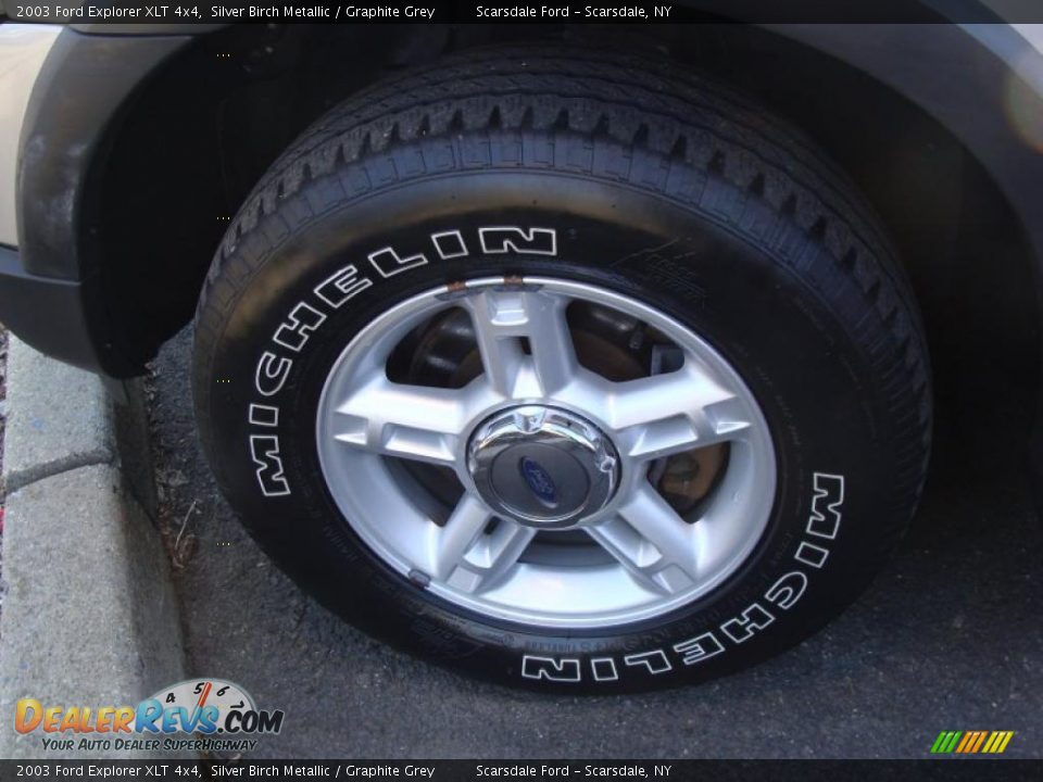 2003 Ford Explorer XLT 4x4 Silver Birch Metallic / Graphite Grey Photo #8