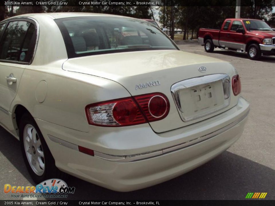 2005 Kia Amanti Cream Gold / Gray Photo #7