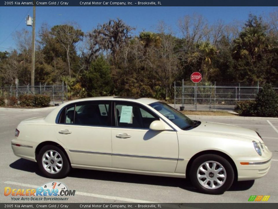 2005 Kia Amanti Cream Gold / Gray Photo #9