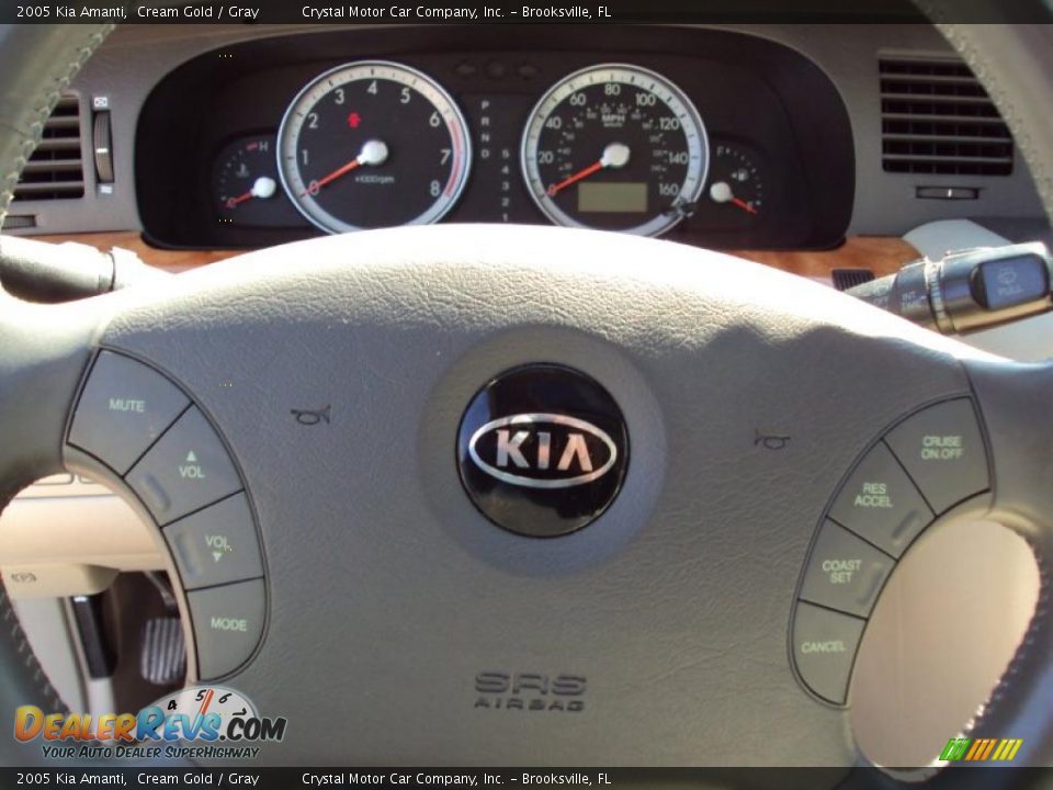 2005 Kia Amanti Cream Gold / Gray Photo #20