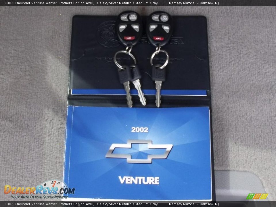 2002 Chevrolet Venture Warner Brothers Edition AWD Galaxy Silver Metallic / Medium Gray Photo #9