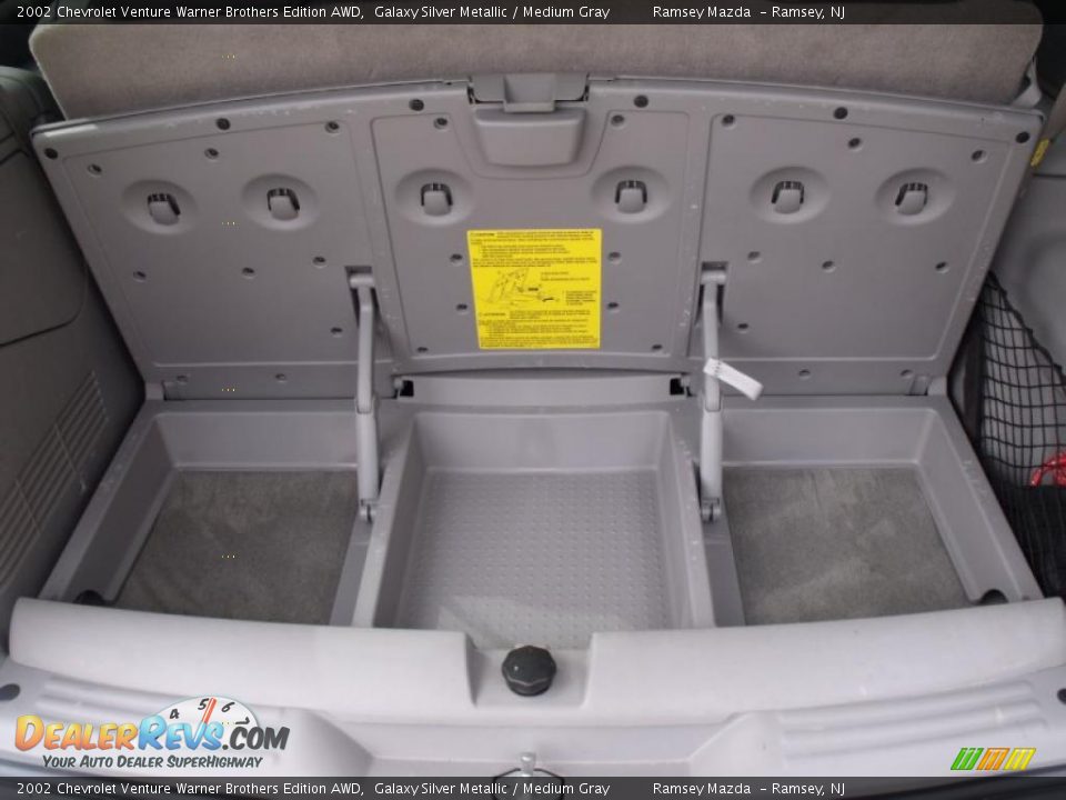 2002 Chevrolet Venture Warner Brothers Edition AWD Galaxy Silver Metallic / Medium Gray Photo #19