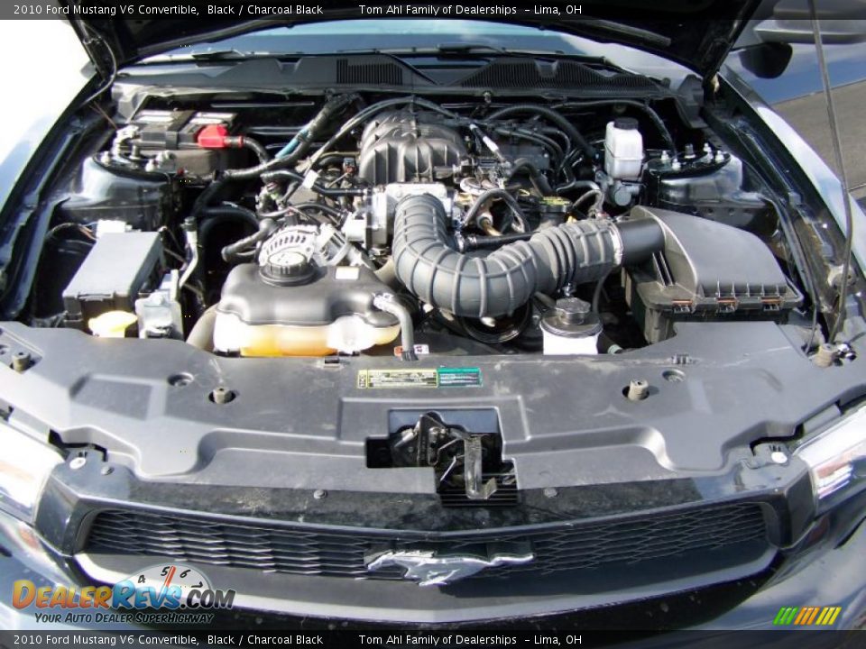 2010 Ford Mustang V6 Convertible Black / Charcoal Black Photo #16