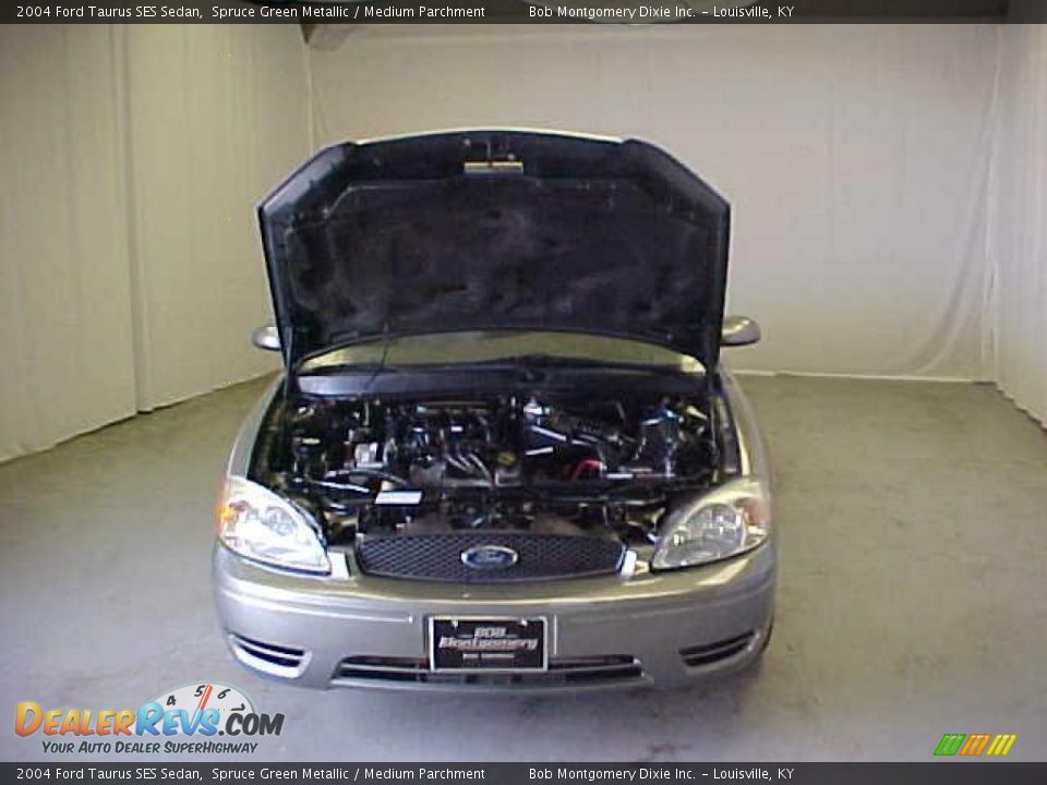 2004 Ford Taurus SES Sedan Spruce Green Metallic / Medium Parchment Photo #4
