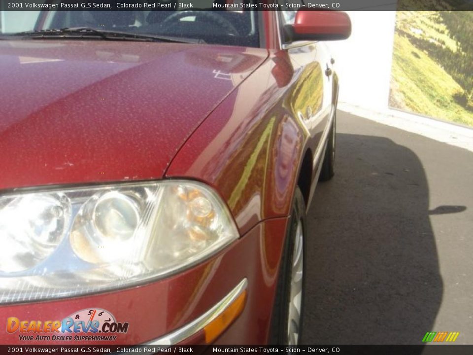 2001 Volkswagen Passat GLS Sedan Colorado Red Pearl / Black Photo #9