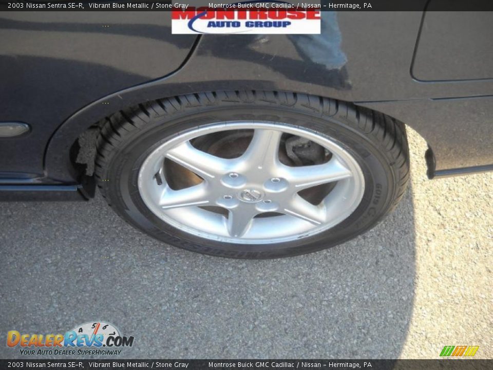 2003 Nissan Sentra SE-R Vibrant Blue Metallic / Stone Gray Photo #15