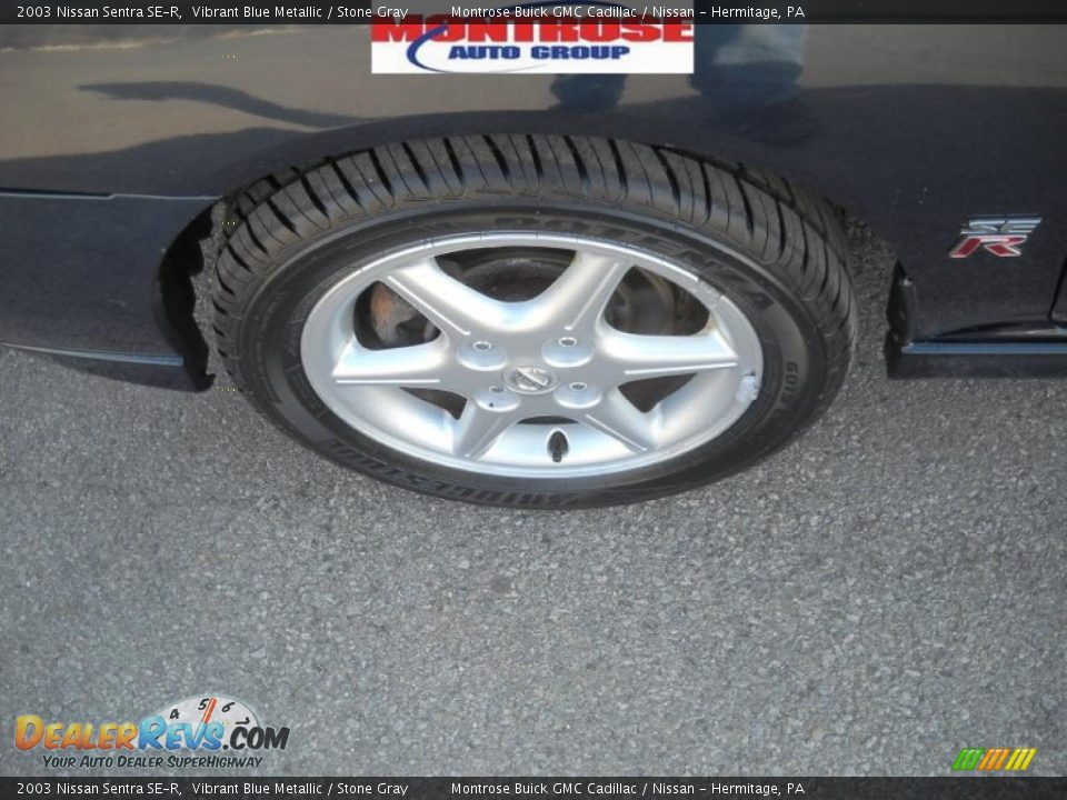 2003 Nissan Sentra SE-R Vibrant Blue Metallic / Stone Gray Photo #17