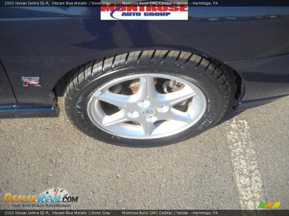 2003 Nissan Sentra SE-R Vibrant Blue Metallic / Stone Gray Photo #23