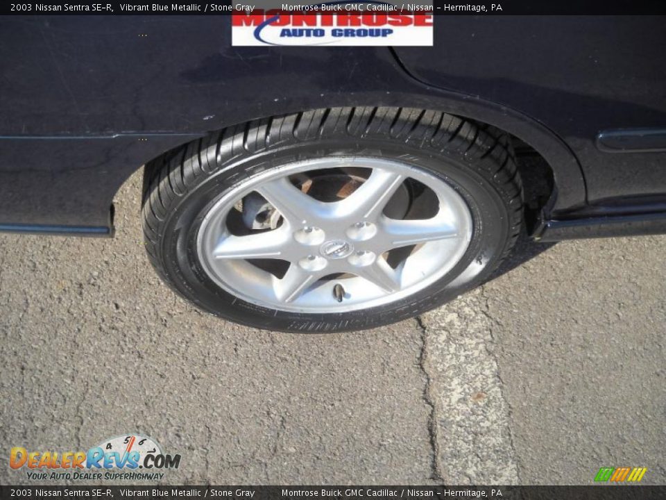 2003 Nissan Sentra SE-R Vibrant Blue Metallic / Stone Gray Photo #24