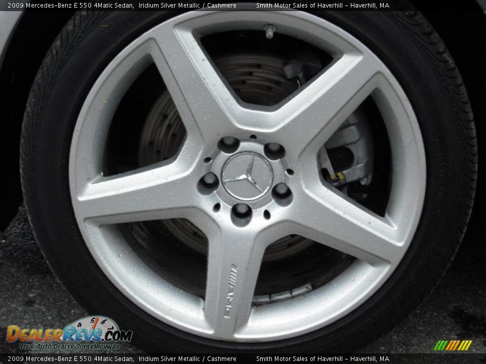 2009 Mercedes-Benz E 550 4Matic Sedan Iridium Silver Metallic / Cashmere Photo #9