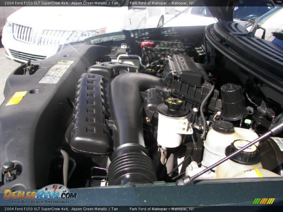 2004 Ford F150 XLT SuperCrew 4x4 Aspen Green Metallic / Tan Photo #9