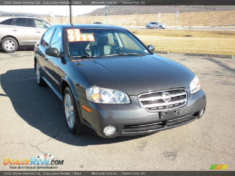 2002 Nissan Maxima GLE Gray Lustre Metallic / Black Photo #4