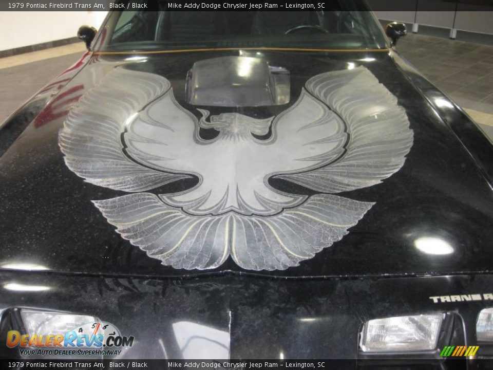 1979 Pontiac Firebird Trans Am Black / Black Photo #3