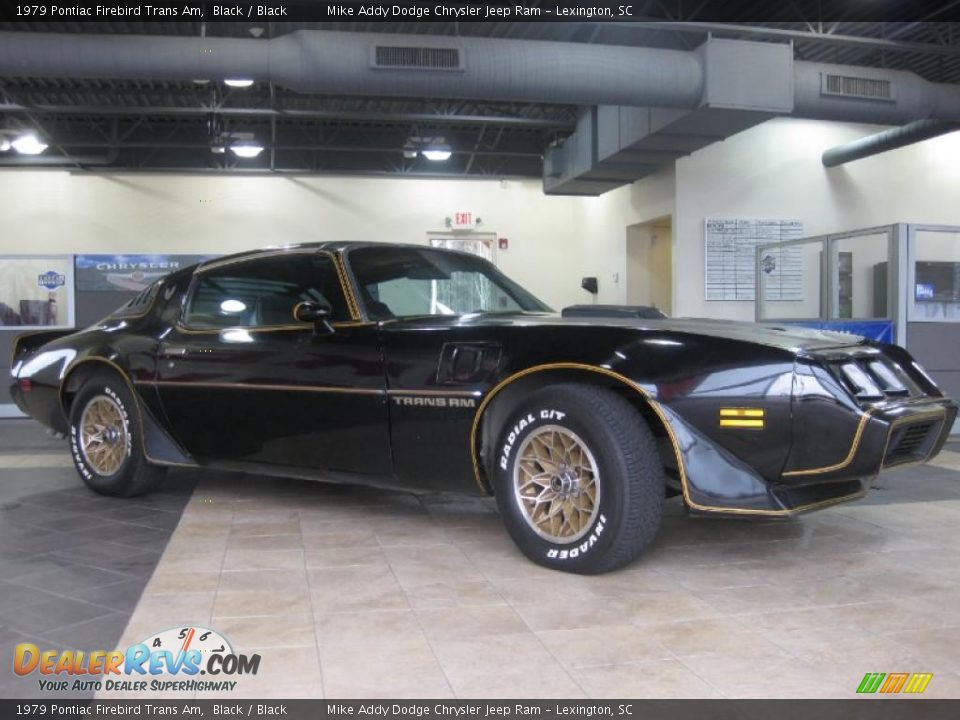1979 Pontiac Firebird Trans Am Black / Black Photo #4