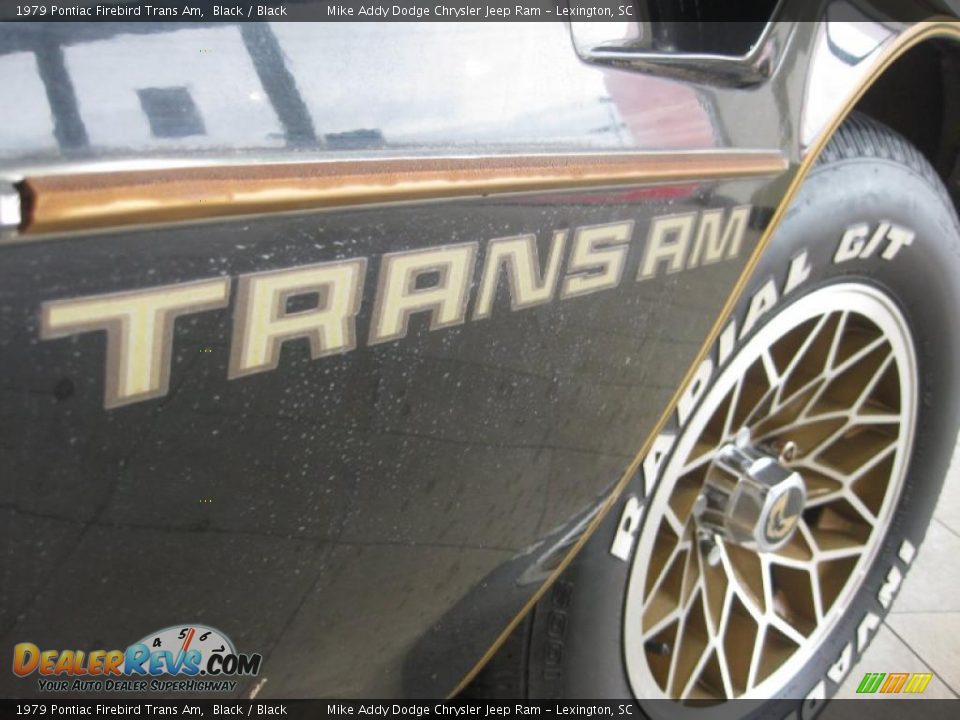 1979 Pontiac Firebird Trans Am Black / Black Photo #6