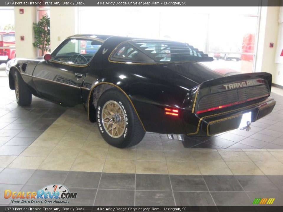 1979 Pontiac Firebird Trans Am Black / Black Photo #8
