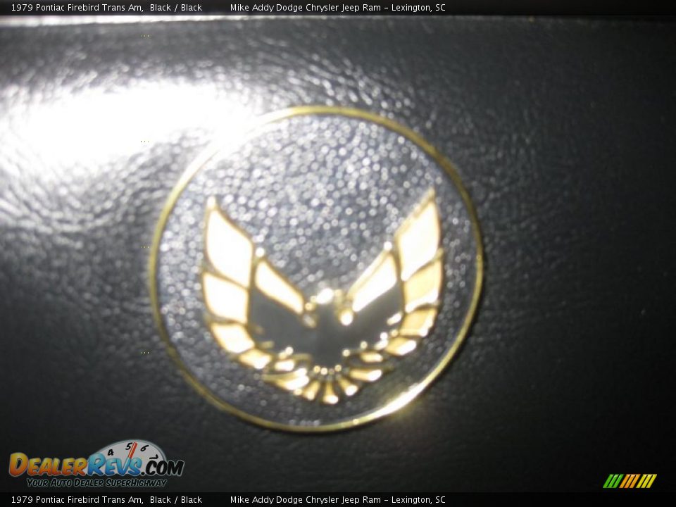 1979 Pontiac Firebird Trans Am Black / Black Photo #15